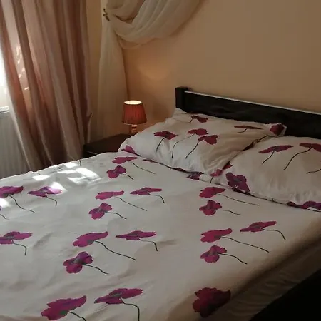 아파트 Apartament Olivia 코워브제크